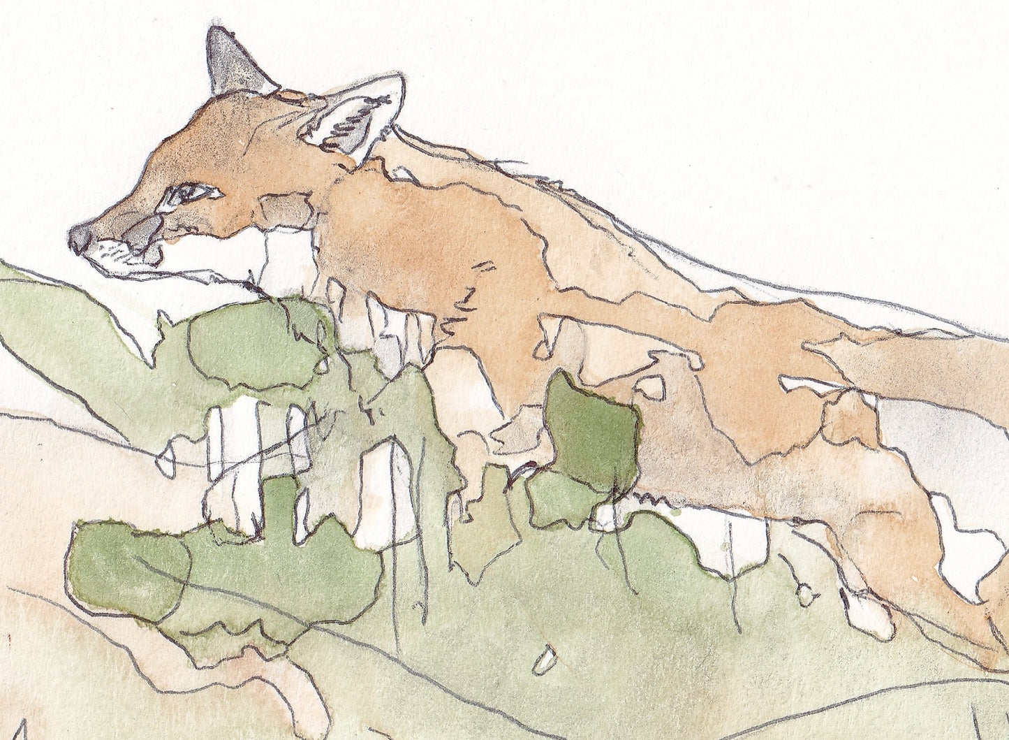 Detail from Wildlife Art stalking red fox painting / illustration by wildlife artist Ann Pease.