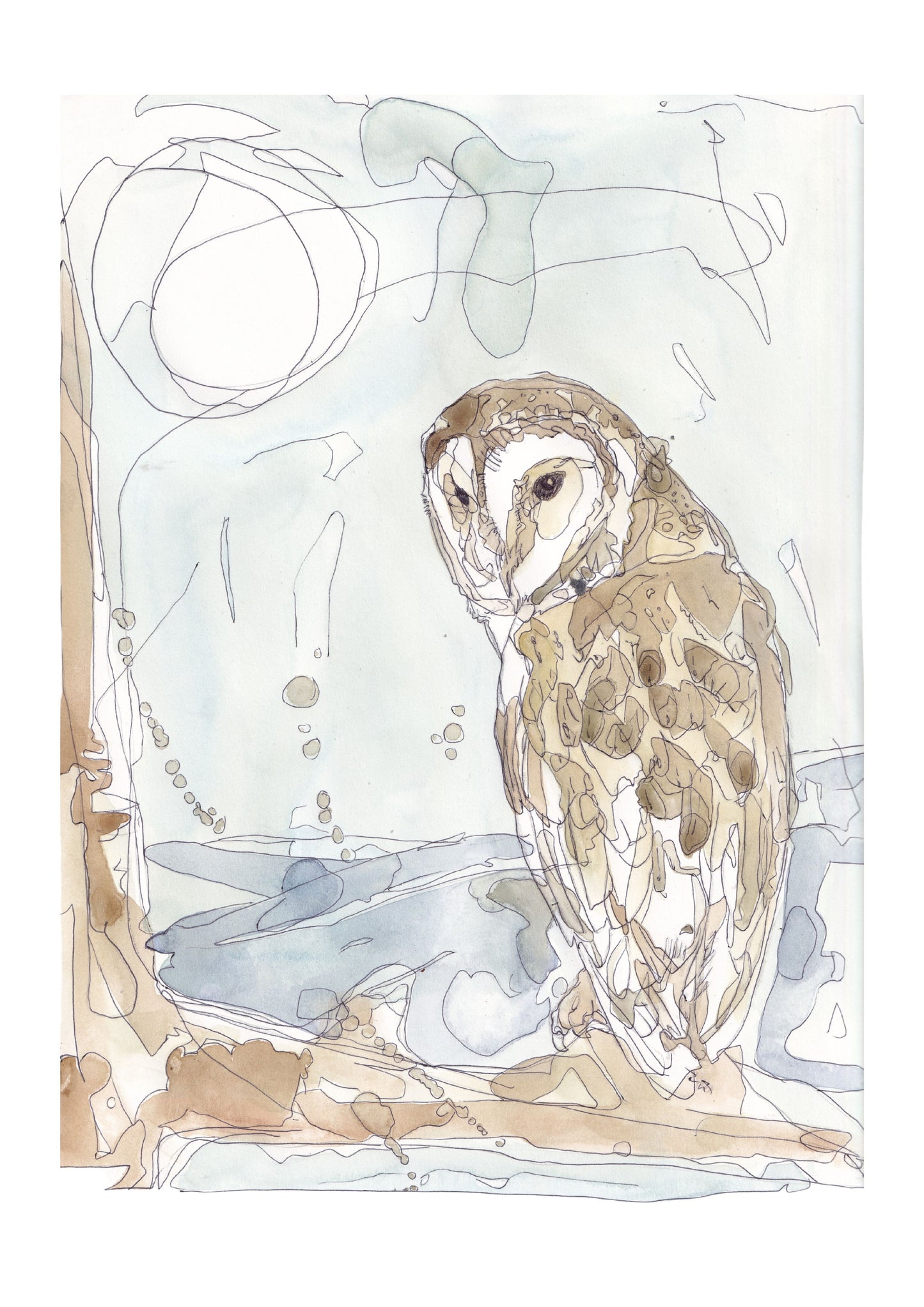 The Barn Owl On The Branch Open Edition Giclée Art Print