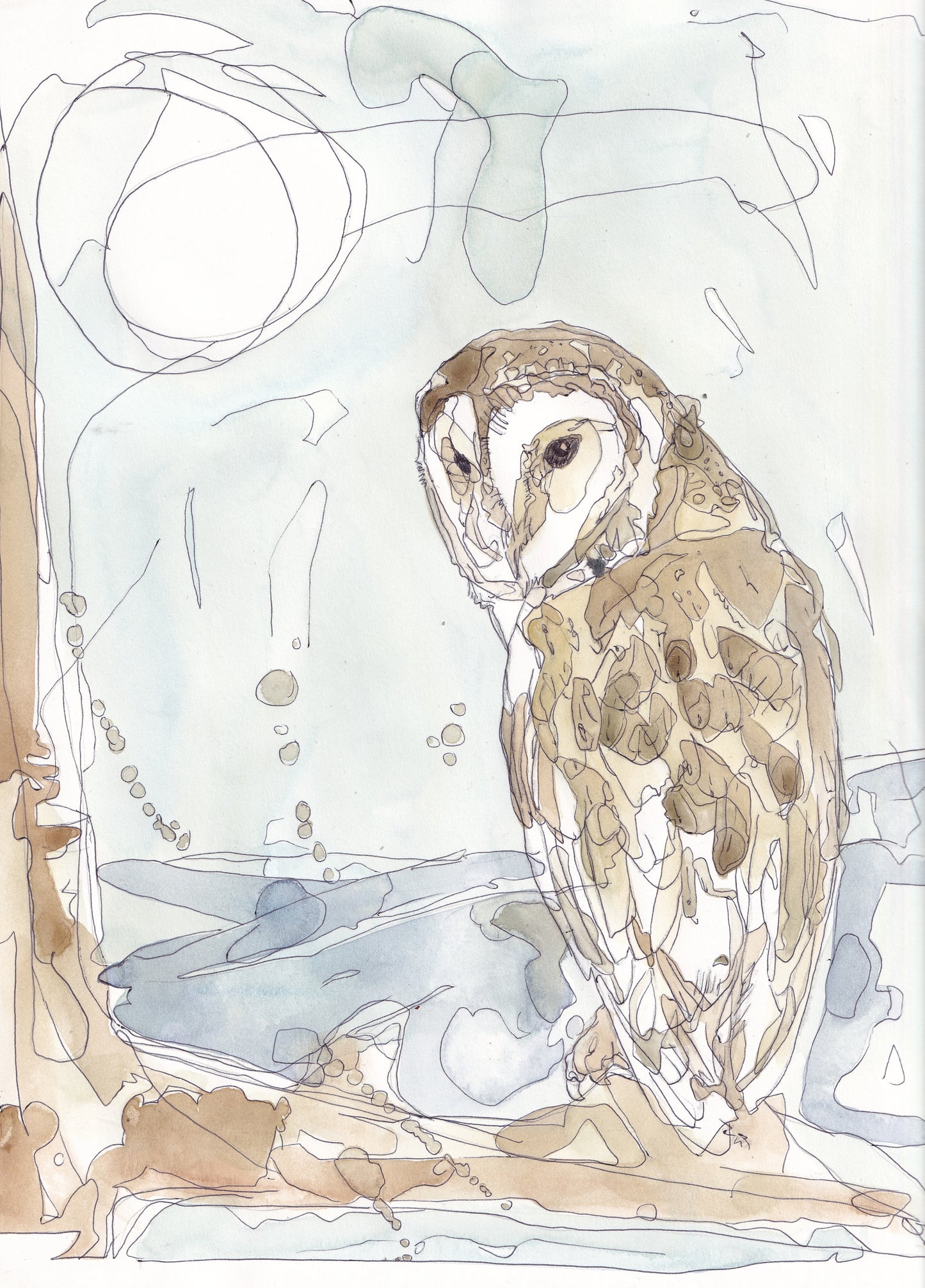 Wildlife Art barn owl perched in a tree woodland with large full moon contemporary painting / illustration by wildlife artist Ann Pease.