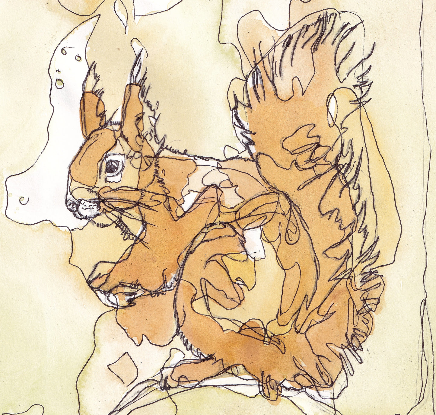 Detail from Wildlife Art red squirrel sitting on a branch in yellow tones painting / illustration by wildlife artist Ann Pease.