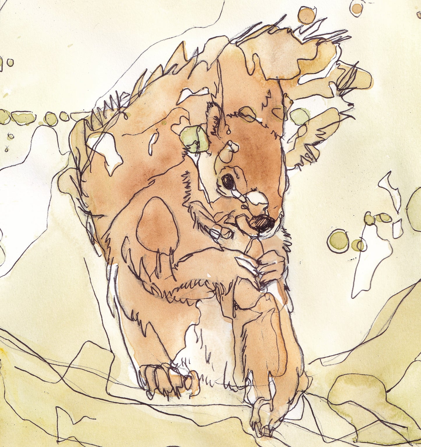 Detail from Wildlife Art red squirrel sitting on a branch in yellow tones painting / illustration by wildlife artist Ann Pease.