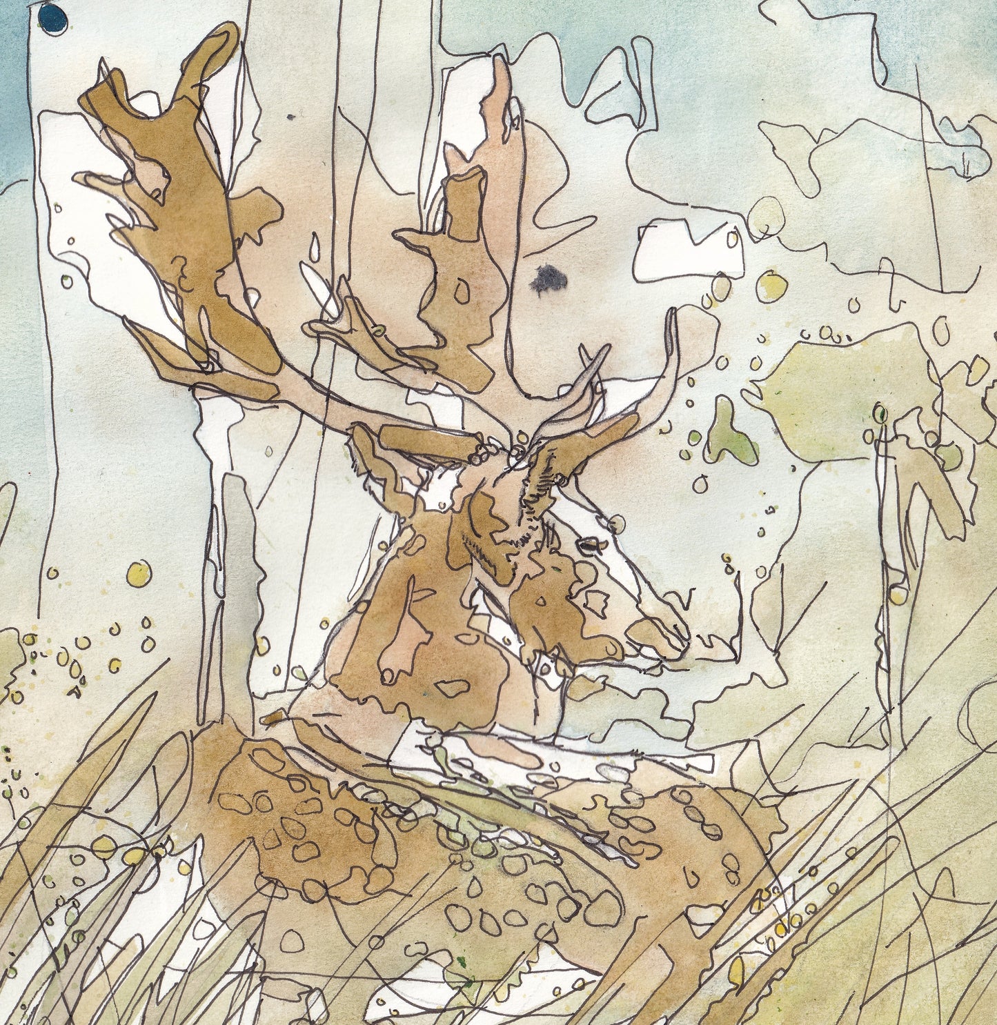 Detail Wildlife Art resting fallow deer portrait in the grass woodland painting / illustration by wildlife artist Ann Pease. Antlers