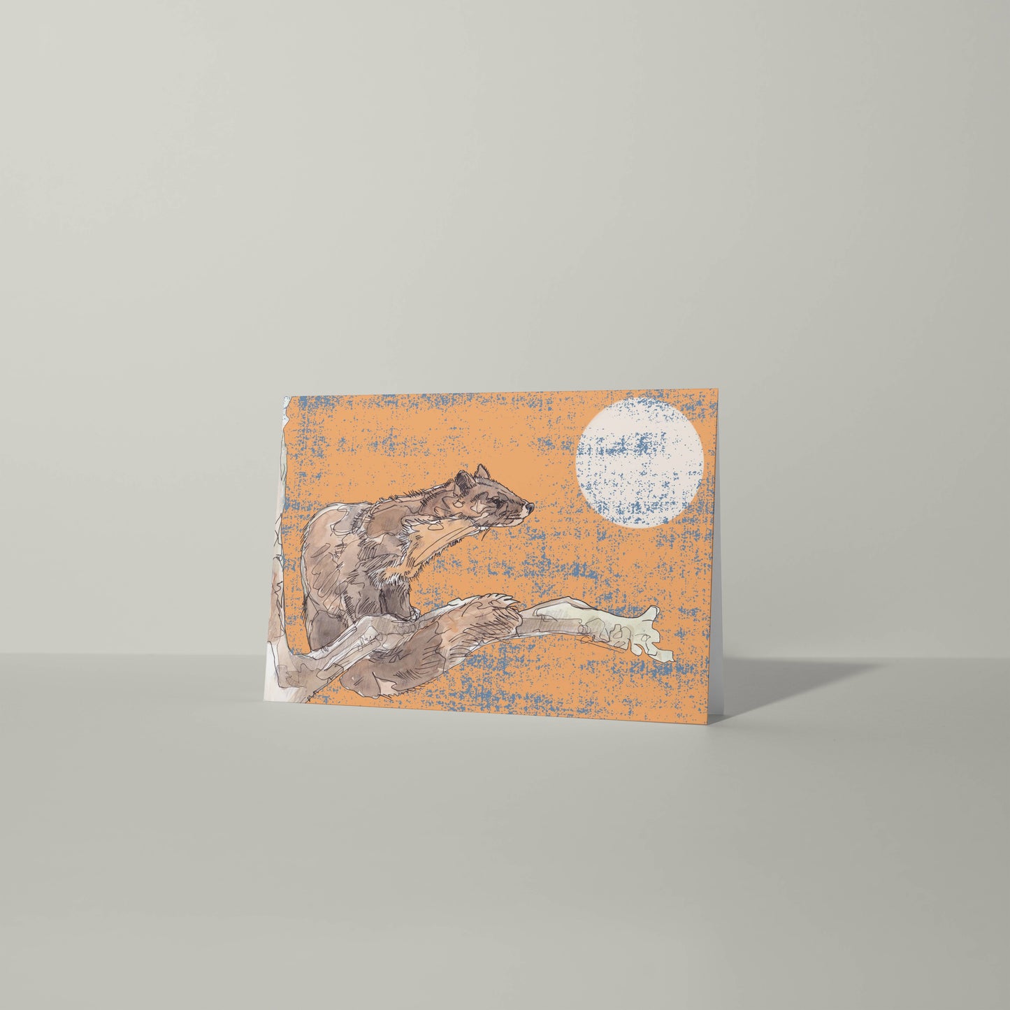 The Pine Marten and The Moon in Orange