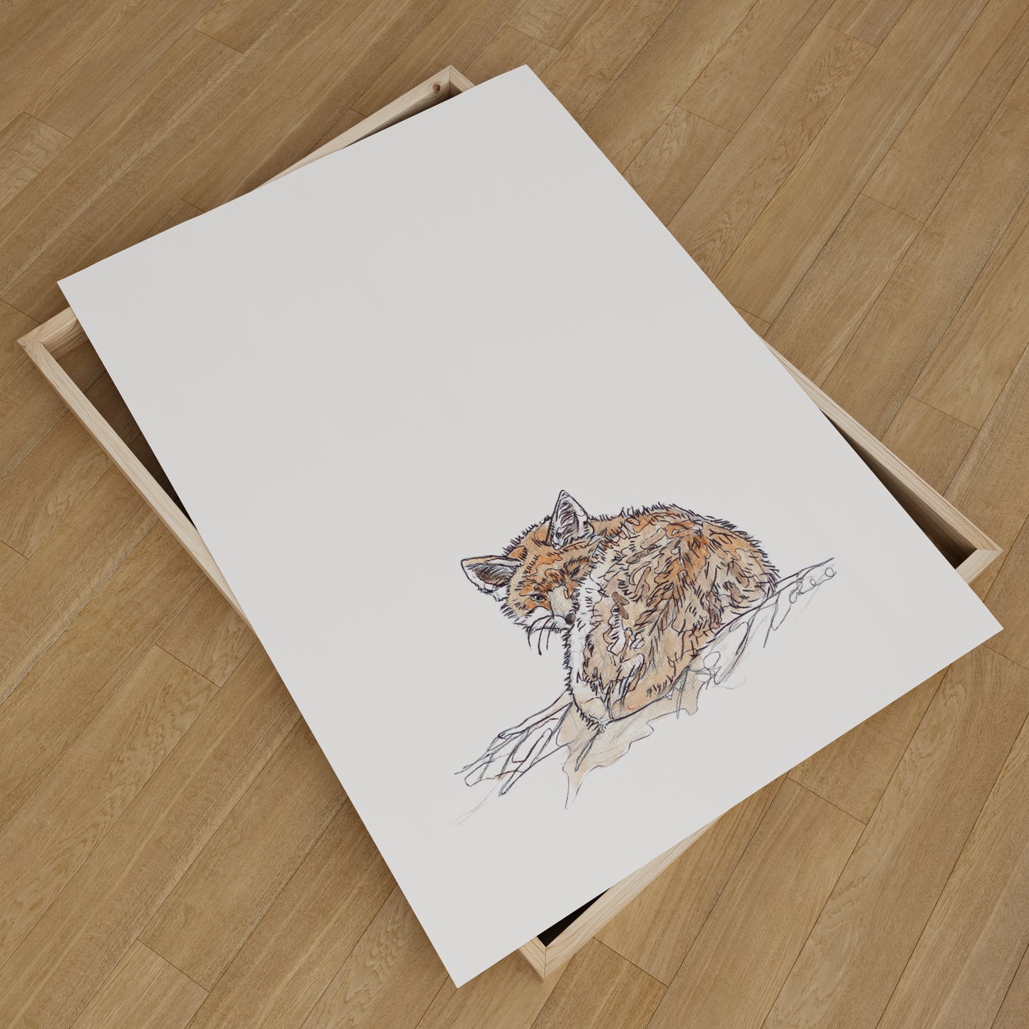sleepy fox on white backfground giclee fine art print contemporary illustration animal wildlife artist ann pease