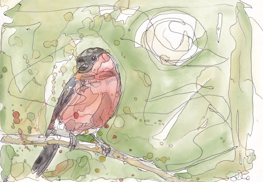Wildlife Art male bullfinch bird and moon painting illustation by wildlife artist Ann Pease.