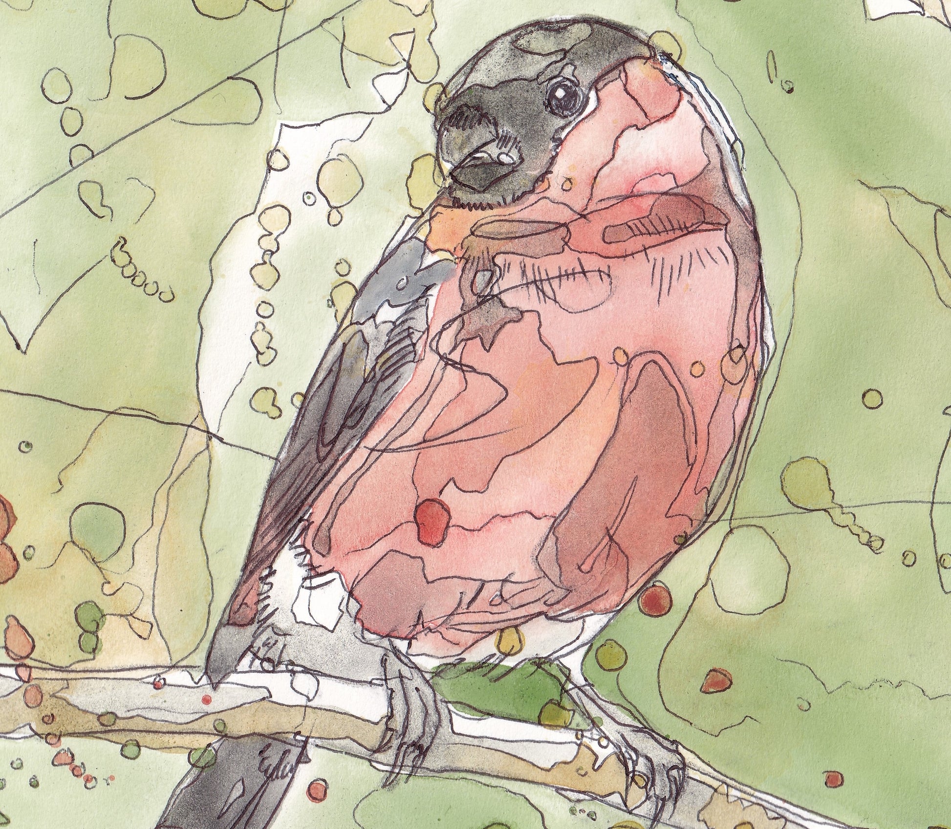 Detail from Wildlife Art male bullfinch bird painting illustation by wildlife artist Ann Pease.