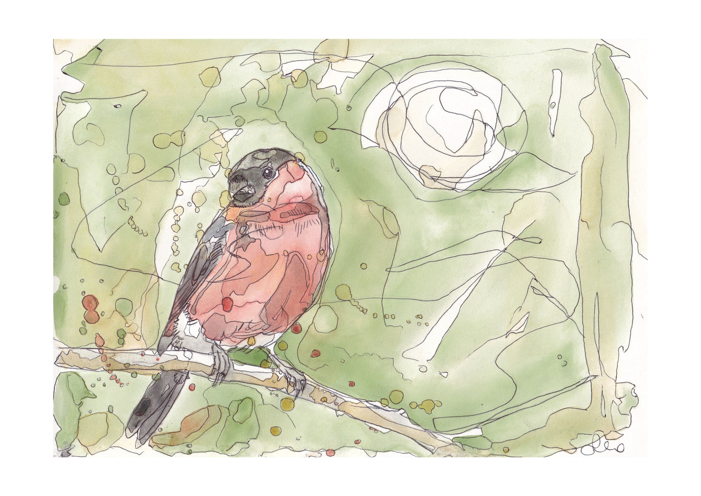 Bullfinch Study Open Edition Giclée Art Print (Copy)