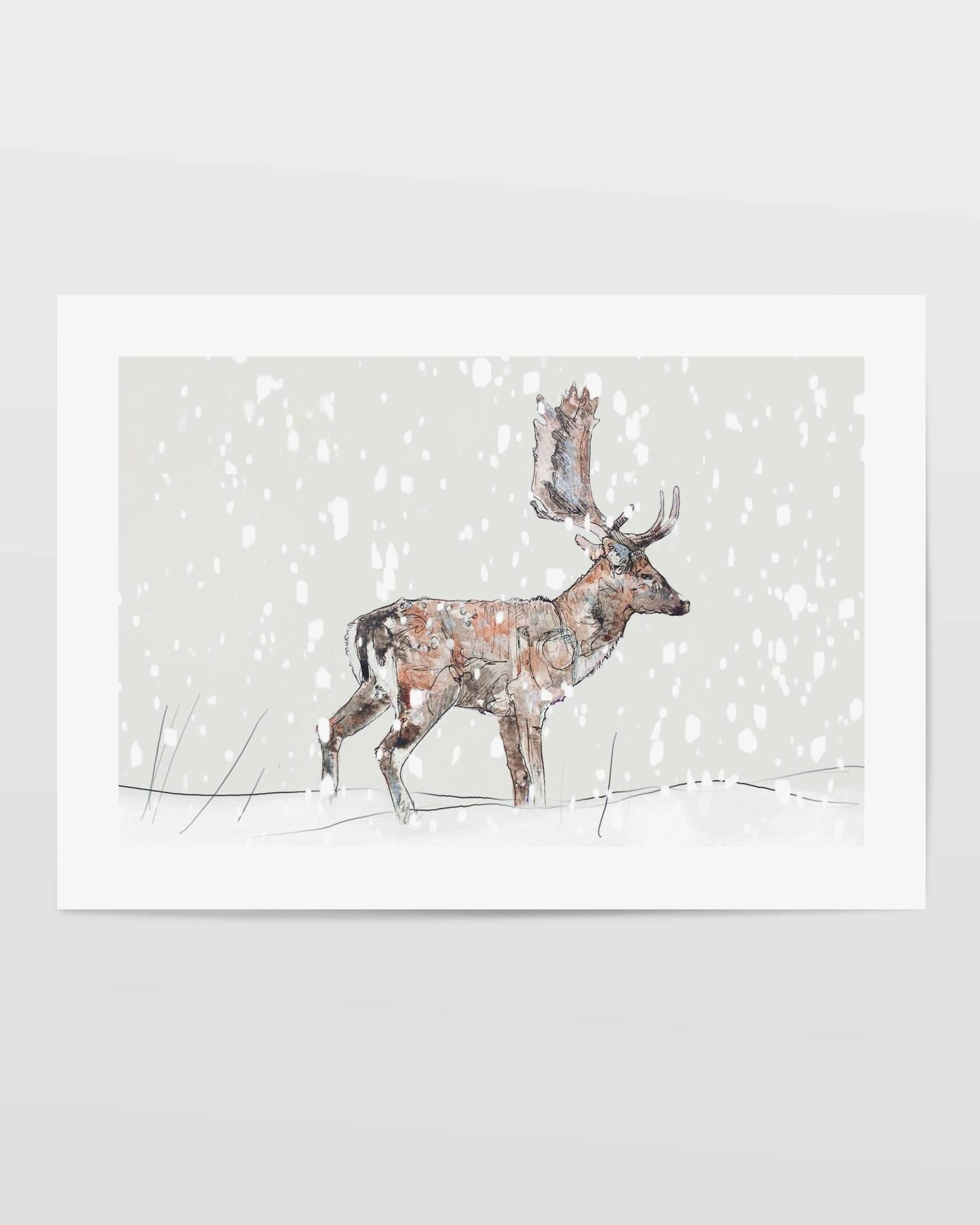 Wildlife Art fallow buck stag deer in the snow christmas festive winter giclee art print painting / illustration by wildlife artist Ann Pease.