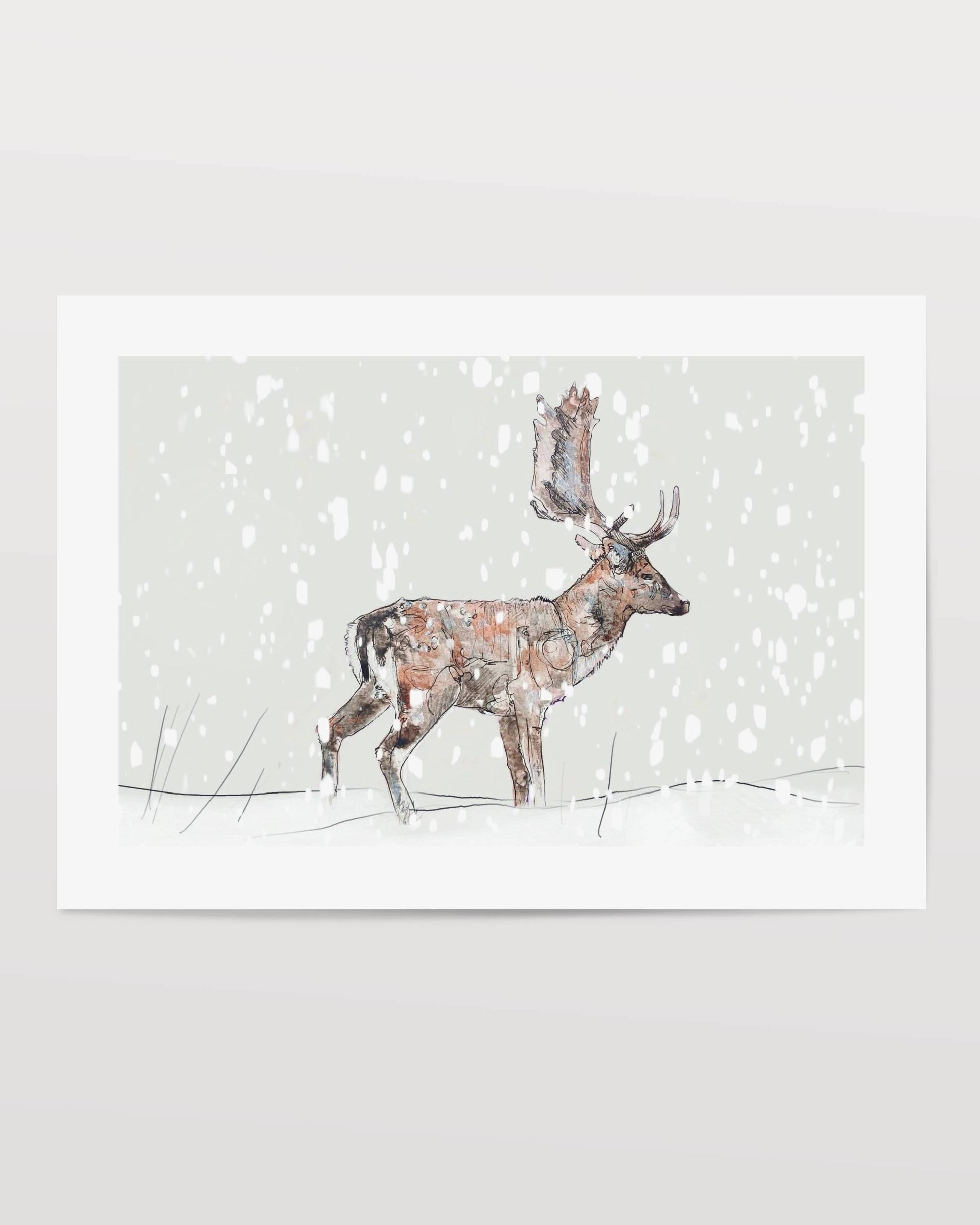Wildlife Art fallow buck stag deer in the snow christmas festive winter giclee art print painting / illustration by wildlife artist Ann Pease.