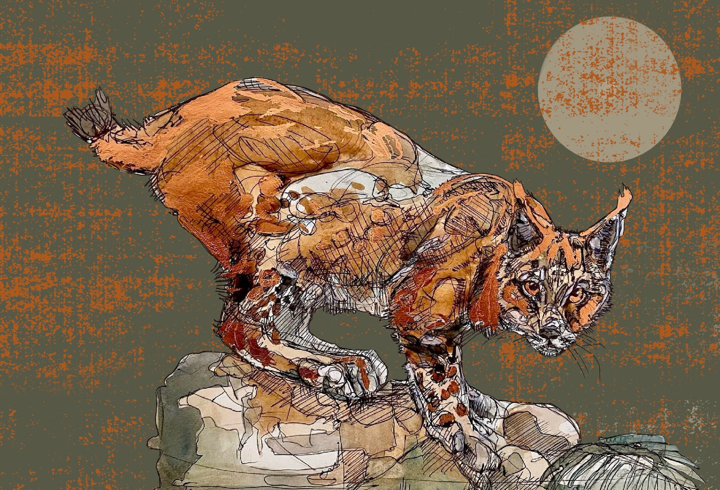 The Copper Lynx