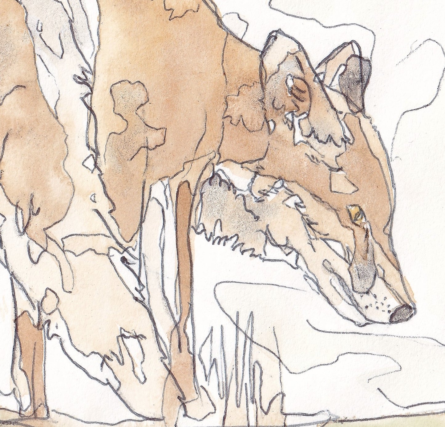 Detail from Wildlife Art pausing red fox painting / illustration by wildlife artist Ann Pease.