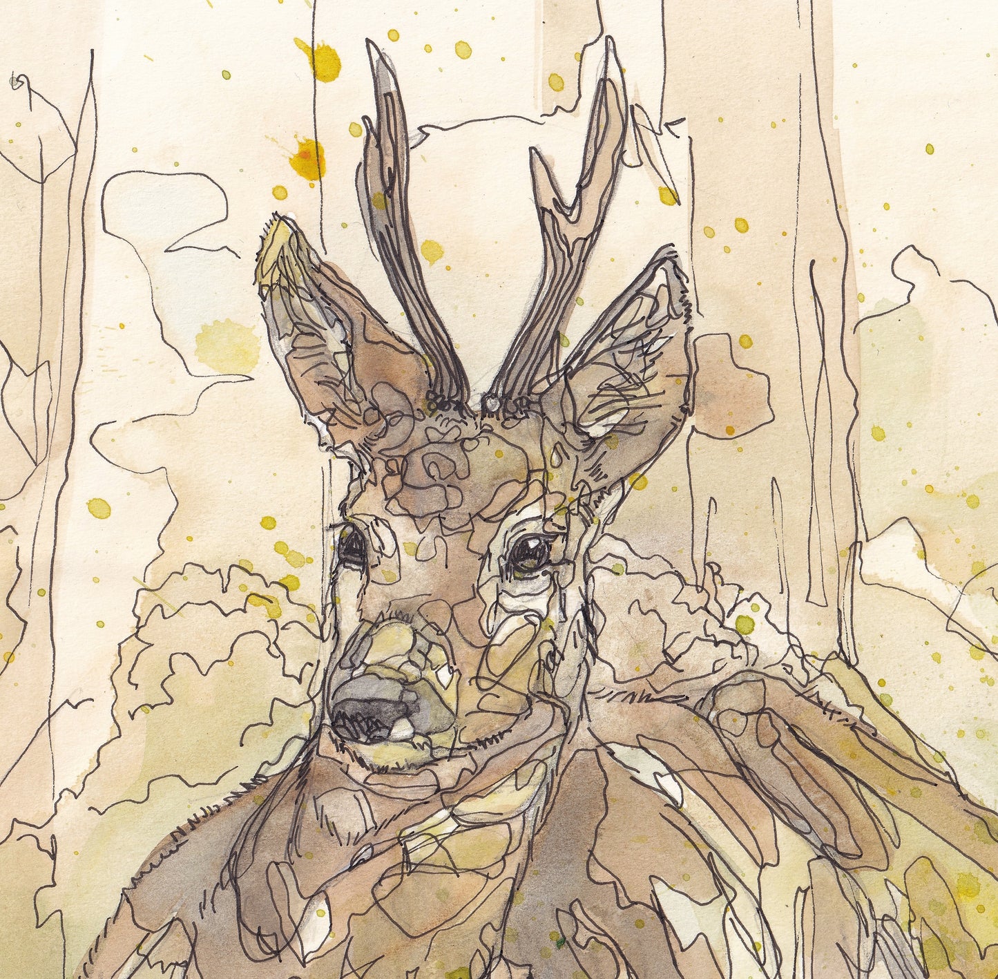 Details from Wildlife Art resting Roe Deer in yellow tones painting / illustration by wildlife artist Ann Pease.