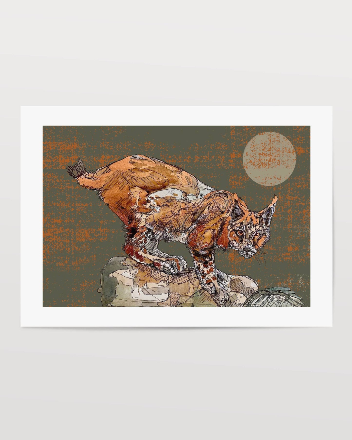 The Copper Lynx Open Edition Giclée Art Print