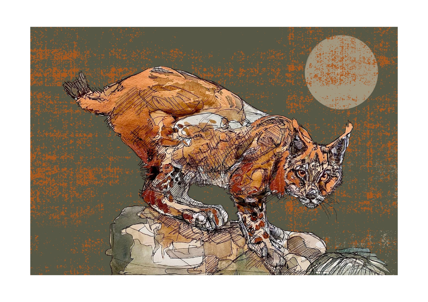 The Copper Lynx Open Edition Giclée Art Print