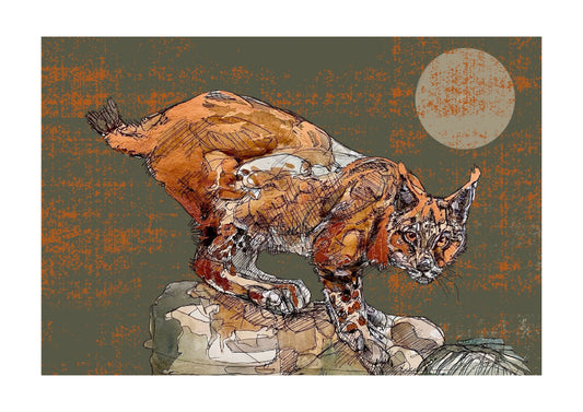 The Copper Lynx Open Edition Giclée Art Print