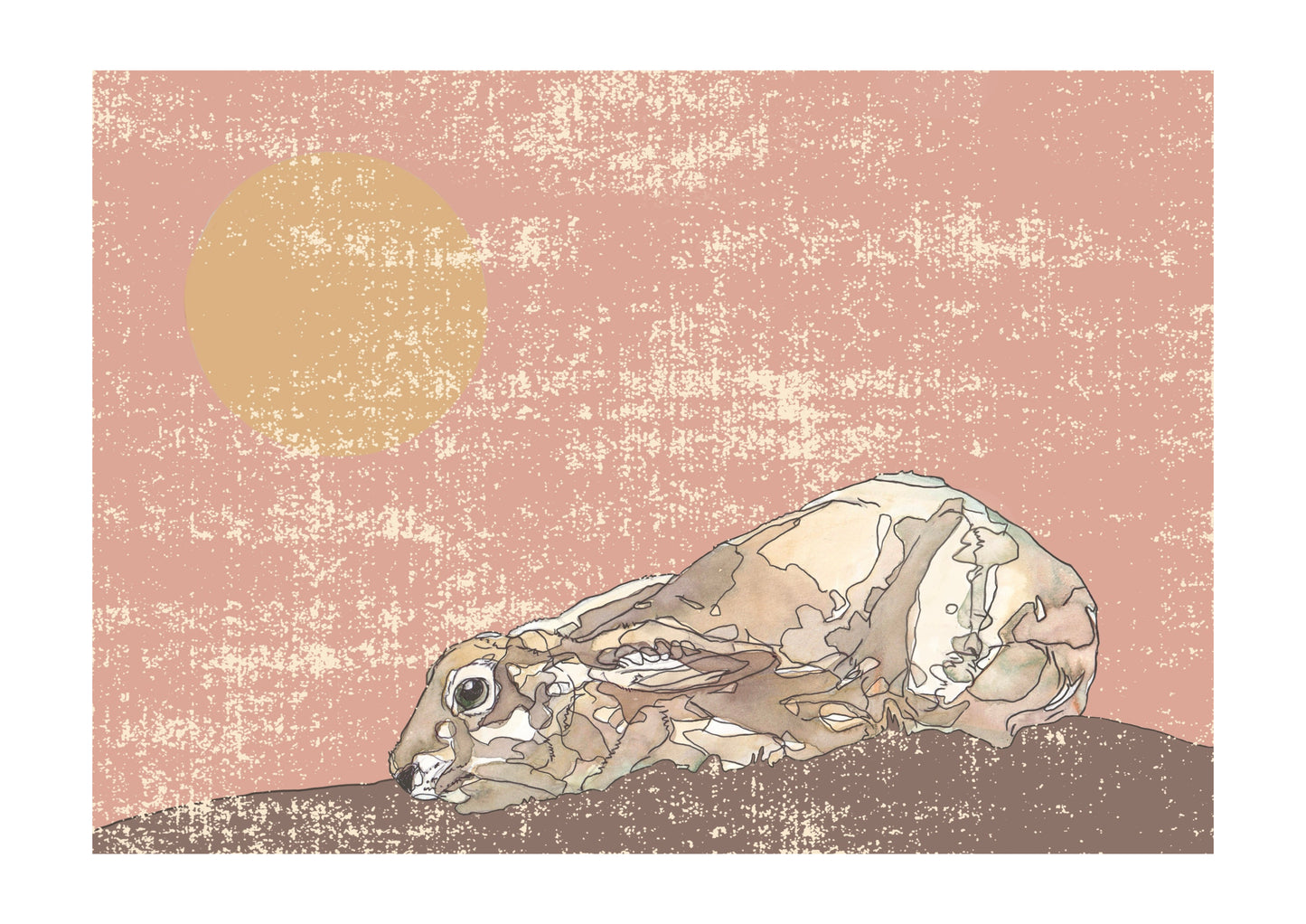 The Crouching Brown Hare in Peach Open Edition Giclée Art Print