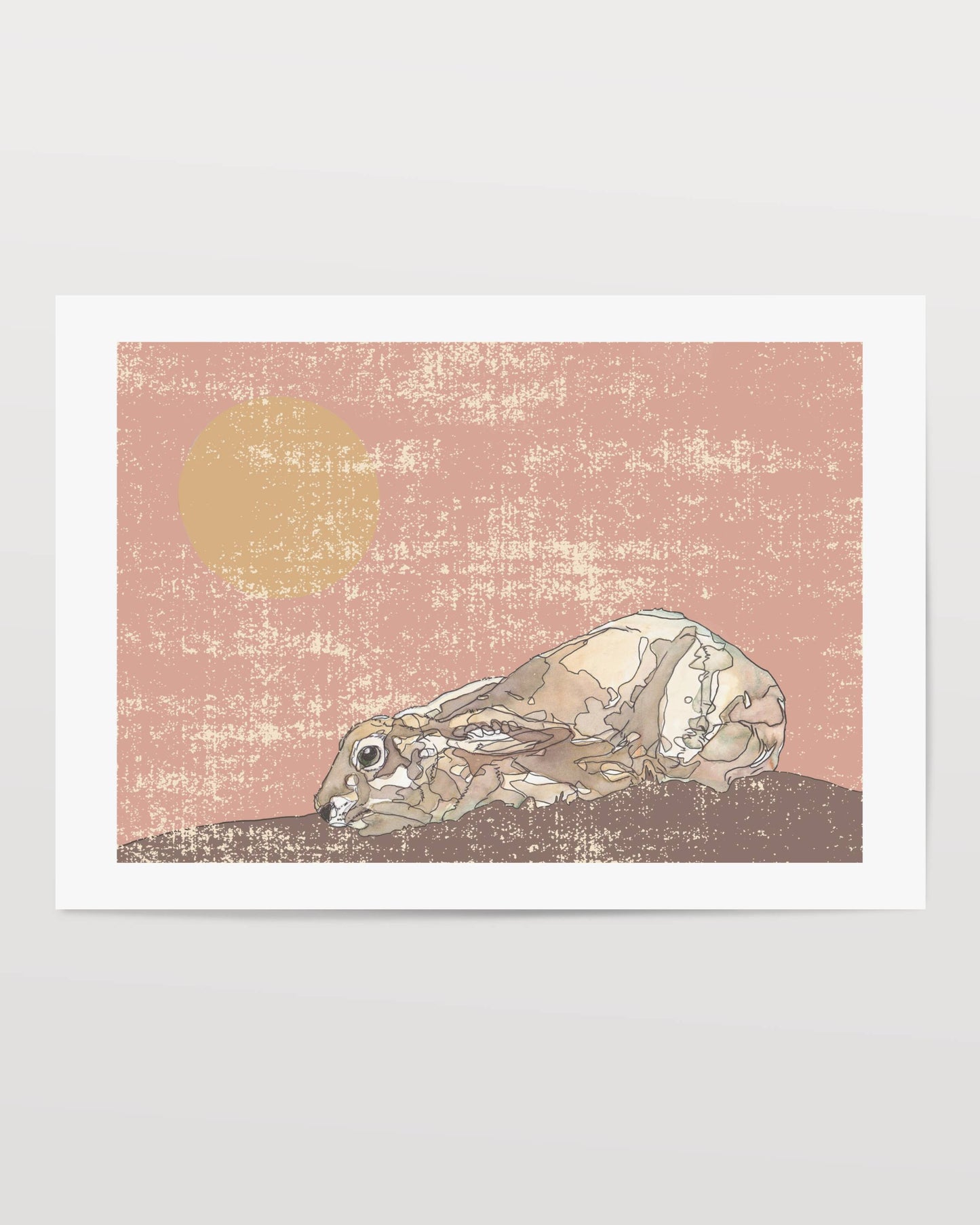 The Crouching Brown Hare in Peach Open Edition Giclée Art Print