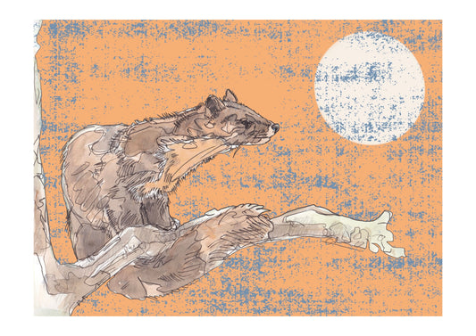 The Pine Marten and The Moon in Orange Open Edition Giclée Art Print