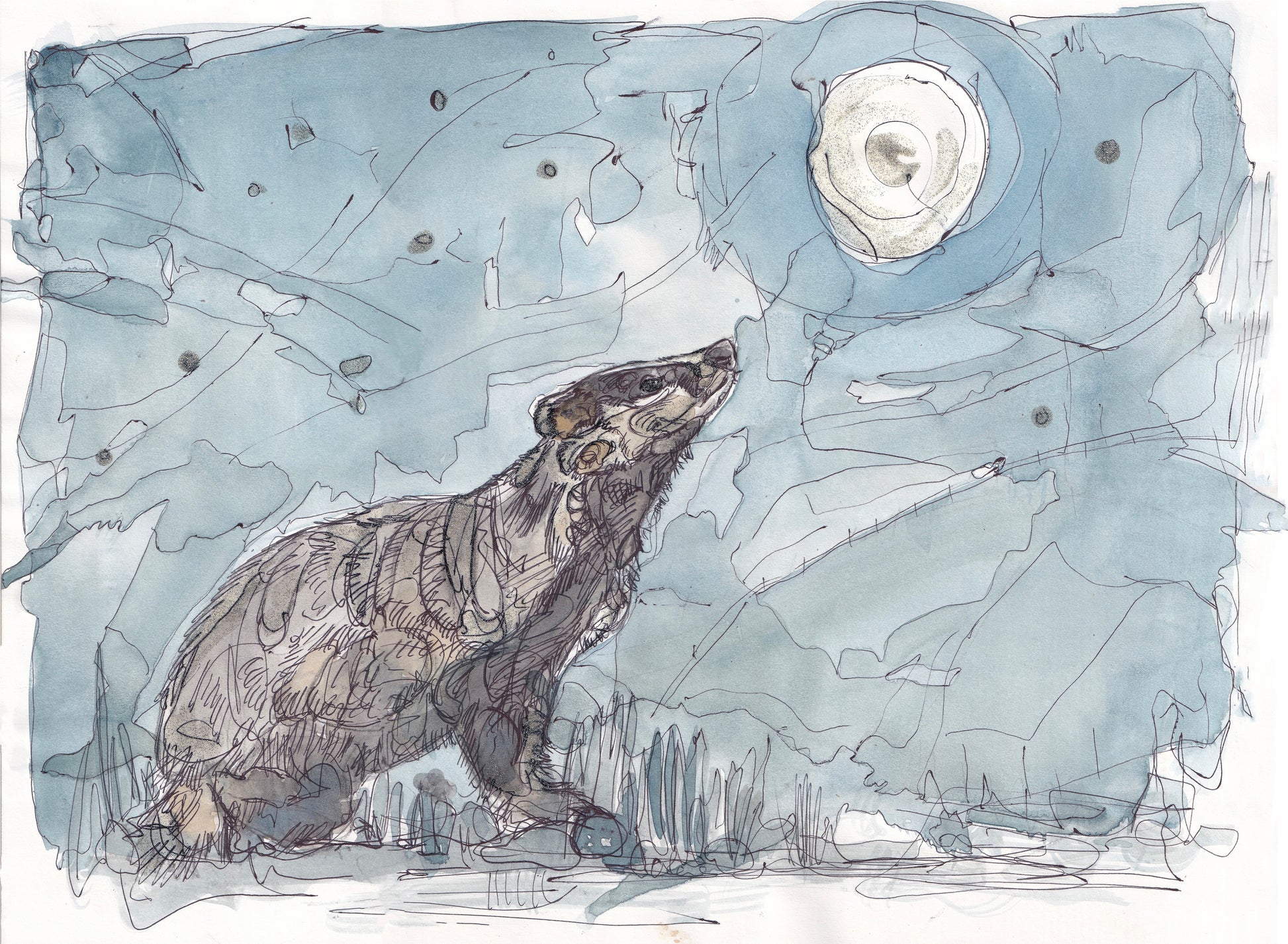 Wildlife Art badger looking up at large full moon and stars contemporary painting / illustration by wildlife artist Ann Pease.