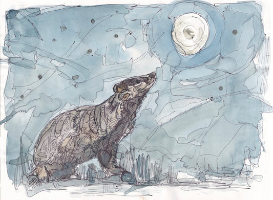Wildlife Art badger looking up at large full moon and stars contemporary painting / illustration by wildlife artist Ann Pease.