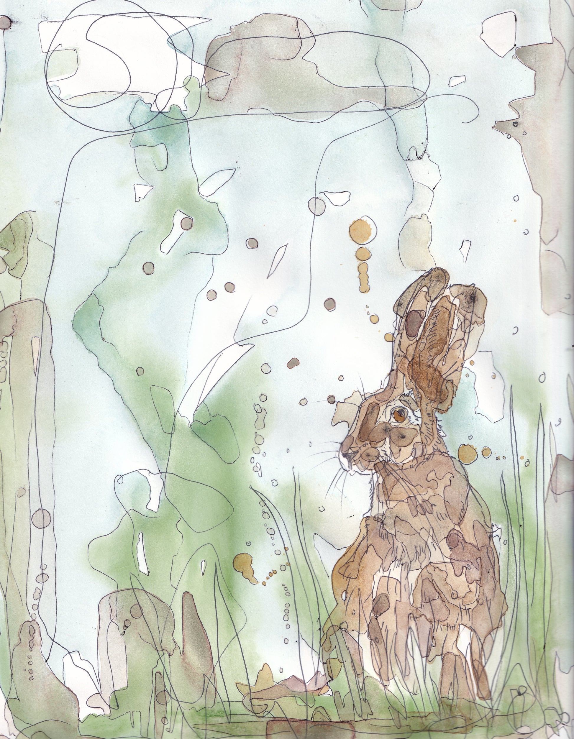 Wildlife Art sitting brown hare green painting / illustration by wildlife artist Ann Pease.