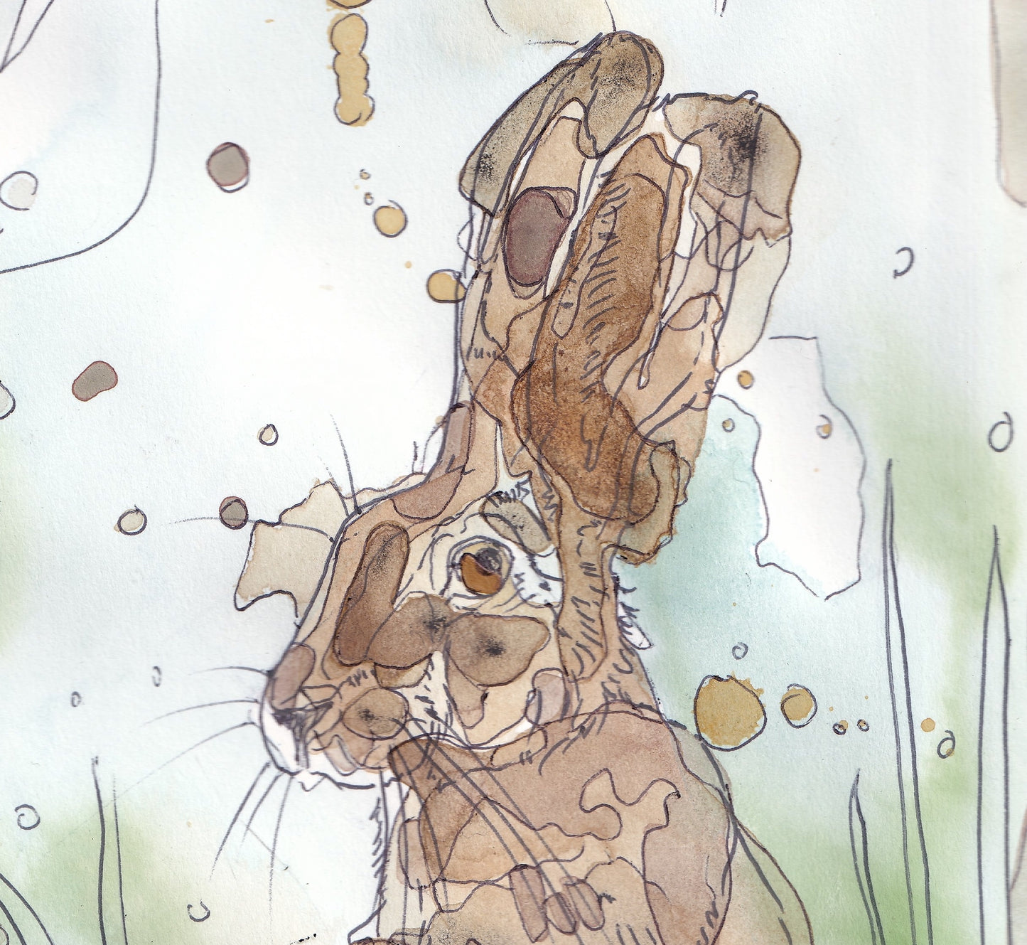 Detail from Wildlife Art sitting brown hare green painting / illustration by wildlife artist Ann Pease.