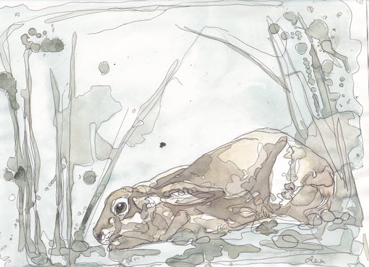 Wildlife Art crouching Brown Hare painting / illustration by wildlife artist Ann Pease.