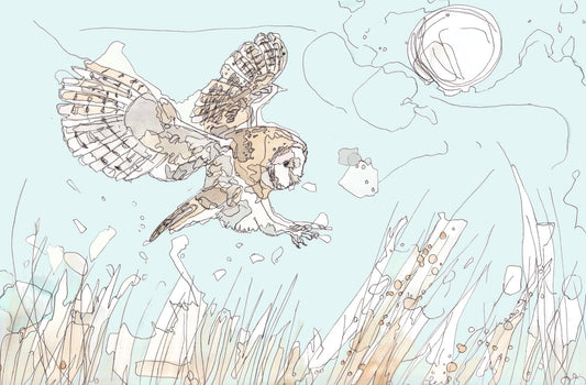 Wildlife Art barn owl hunting above the grass with full moon contemporary animal bird painting / illustration by wildlife artist Ann Pease.