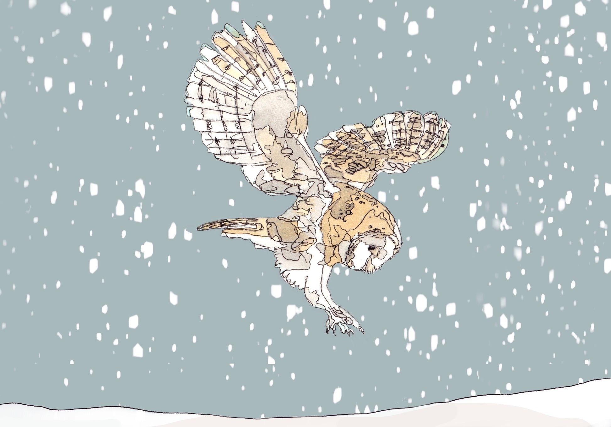 Blank greeting card and envelope  hunting barn owl in the snow christmas card festive winter contemporary illustration animal artist ann pease card art 