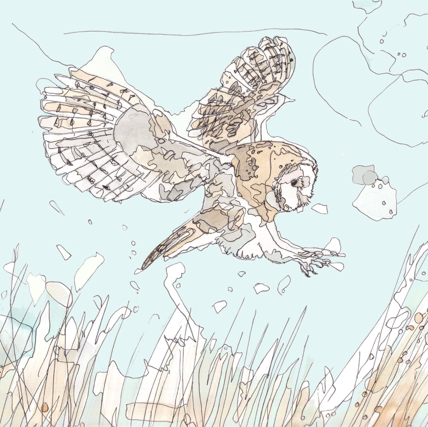 Wildlife Art hunting barn owl flying above grass meadow painting / illustration by wildlife artist Ann Pease.