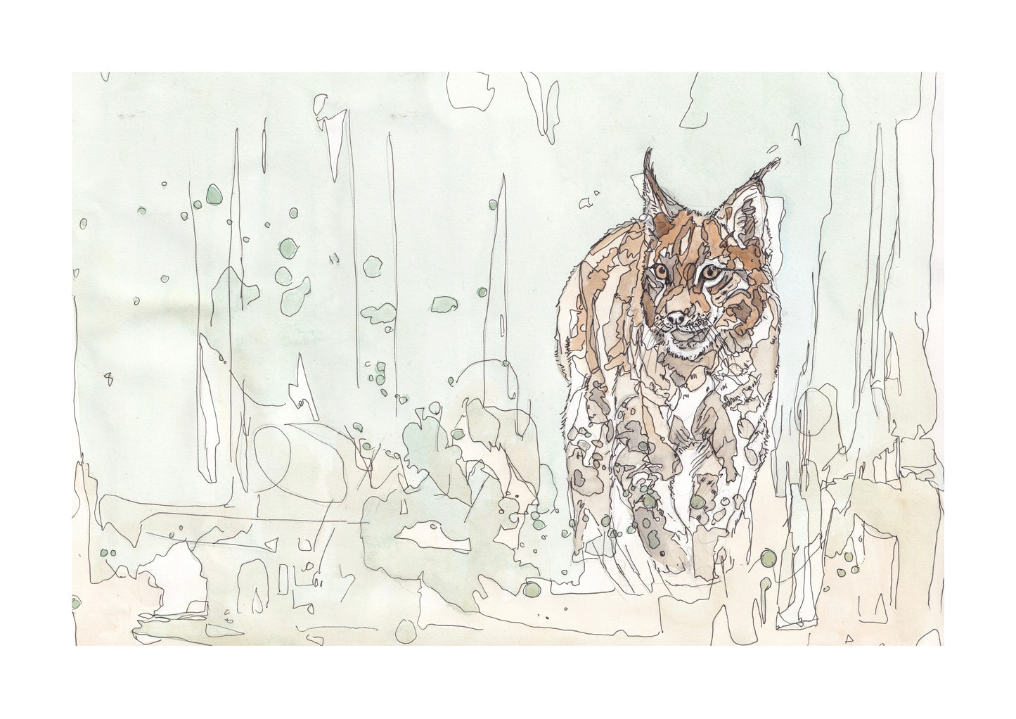 The Lynx In The Grass Open Edition Giclée Art Print