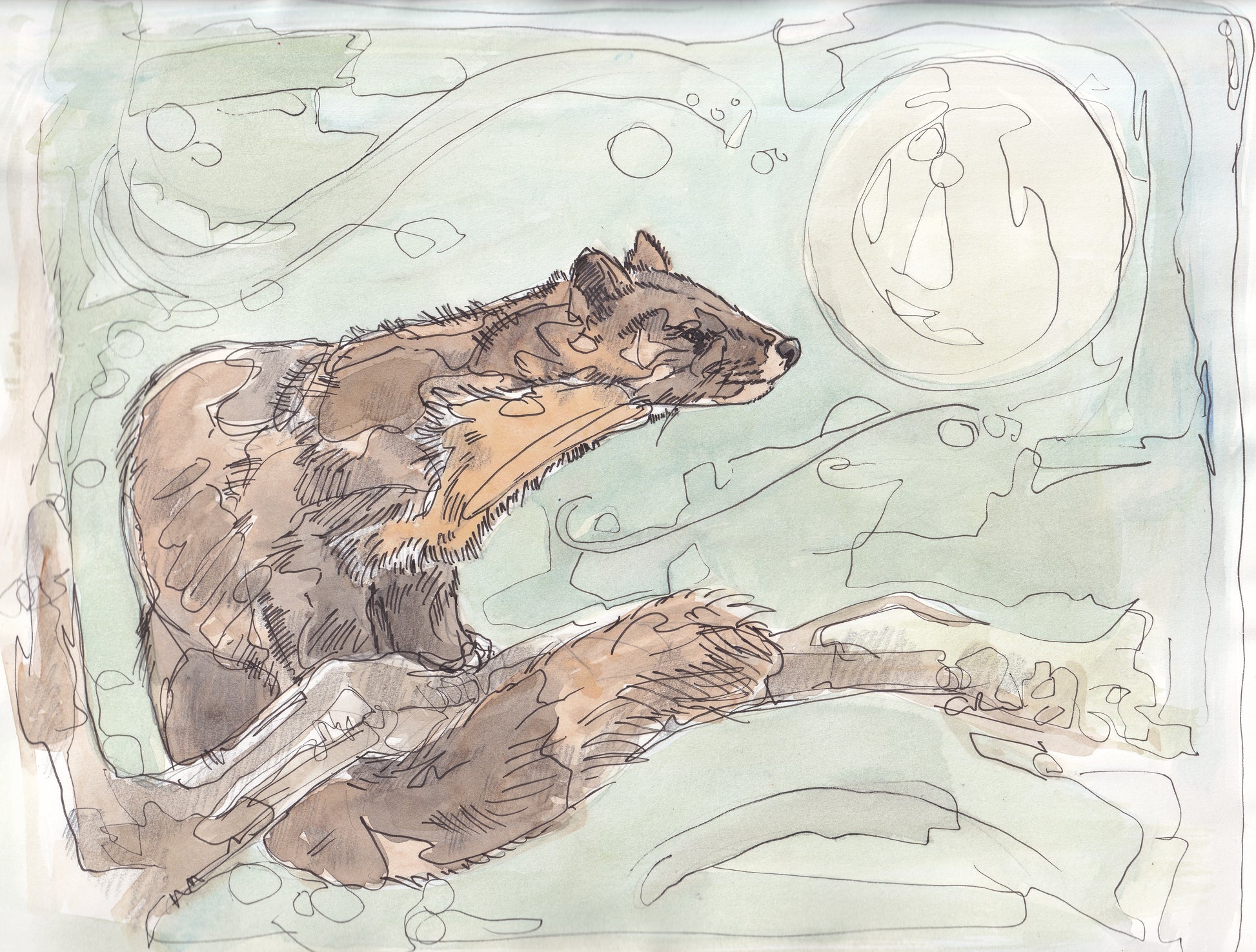 Detail portrait close up Wildlife Art pine marten on a branch looking up at large full moon  contemporary painting / illustration by wildlife artist Ann Pease.