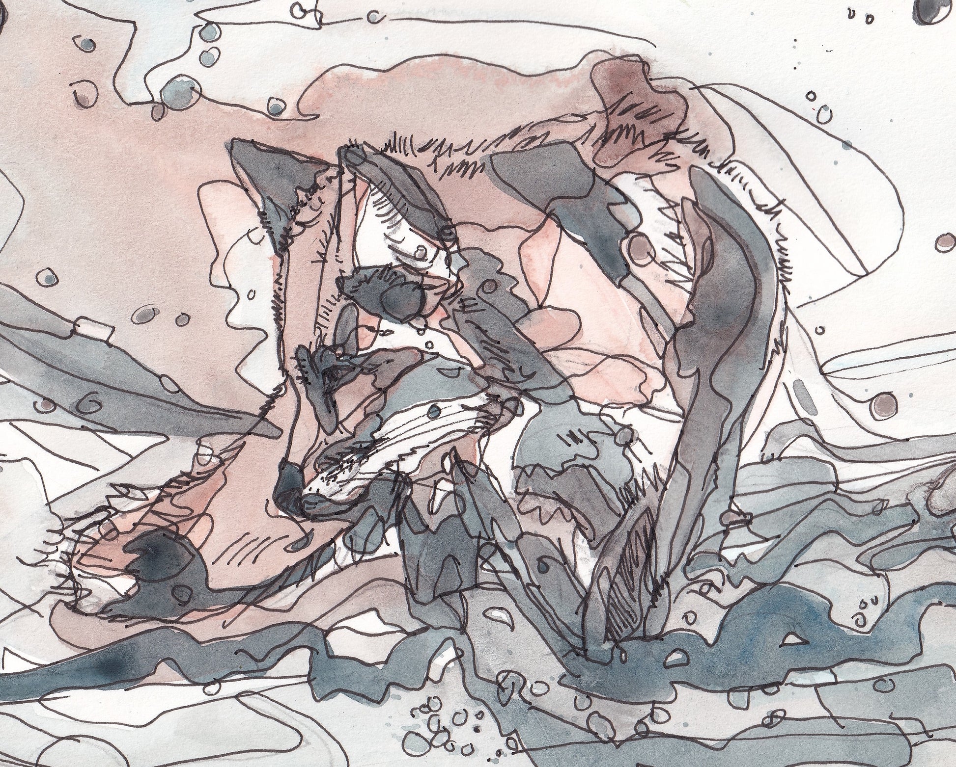 Detail from Wildlife Art red fox painting / illustration by wildlife artist Ann Pease.