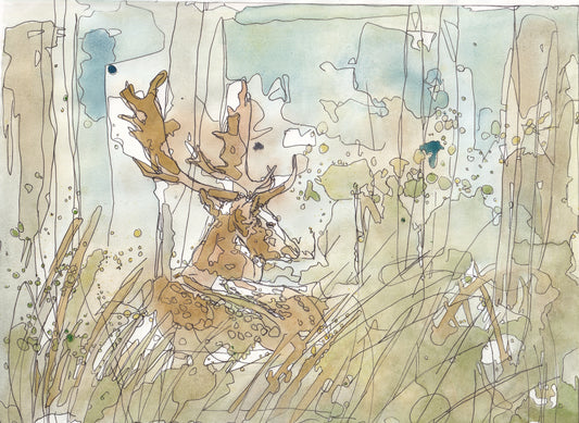 Wildlife Art resting fallow deer in the grass woodland painting / illustration by wildlife artist Ann Pease.