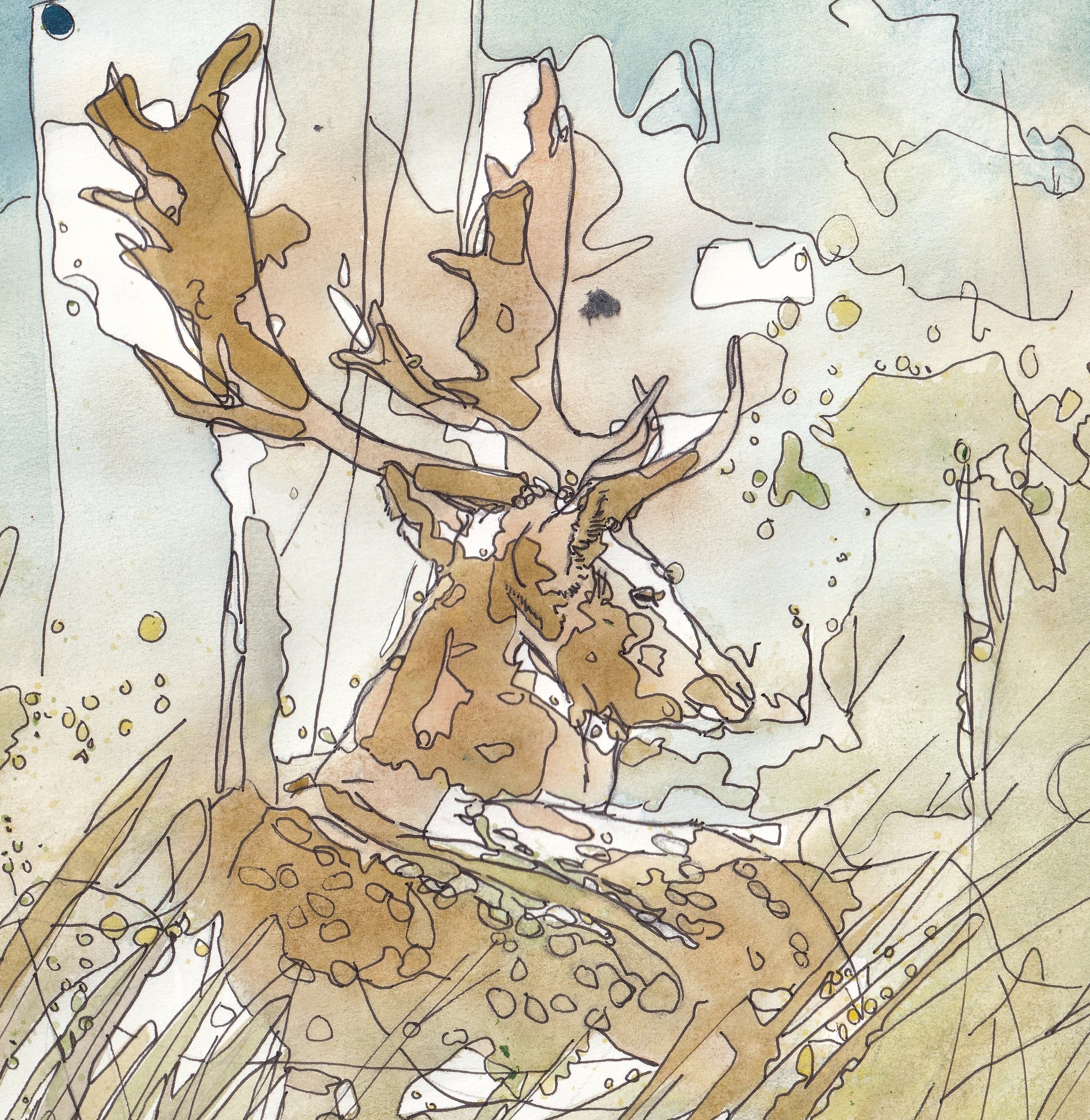 Detail Wildlife Art resting fallow deer portrait in the grass woodland painting / illustration by wildlife artist Ann Pease. Antlers