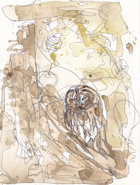 Wildlife Art sleeping tawny owl in a tree woodland in brown and yellow tones contemporary painting / illustration by wildlife artist Ann Pease.
