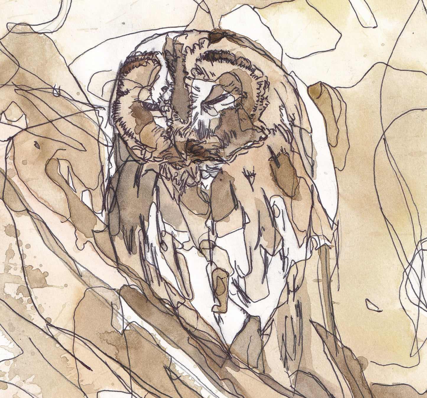 close up detail Wildlife Art sleeping tawny owl in a tree woodland in brown and yellow tones contemporary painting / illustration by wildlife artist Ann Pease.