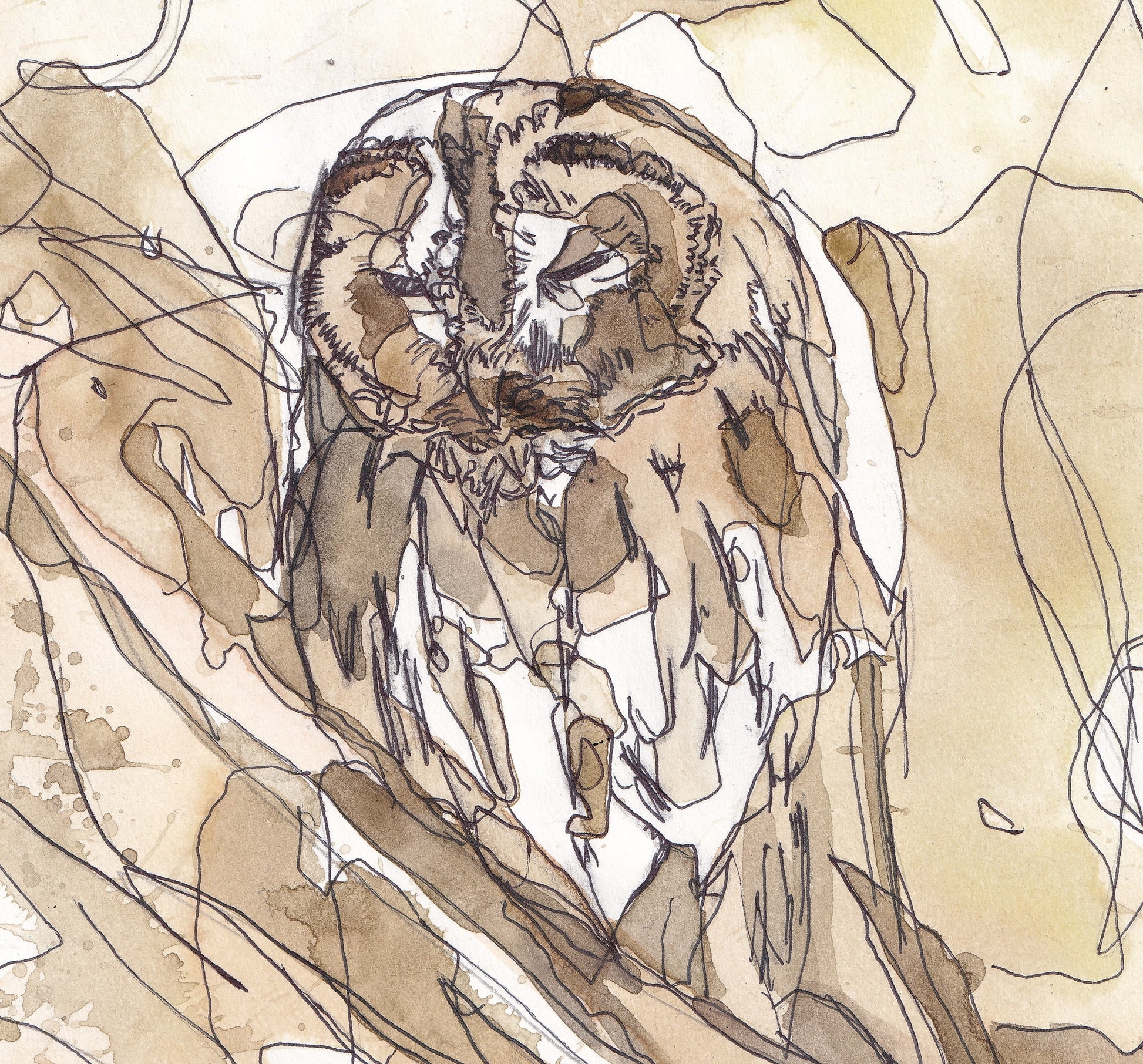 close up detail Wildlife Art sleeping tawny owl in a tree woodland in brown and yellow tones contemporary painting / illustration by wildlife artist Ann Pease.