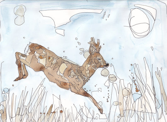 Wildlife Art jumping Roe Deer painting / illustration by wildlife artist Ann Pease.