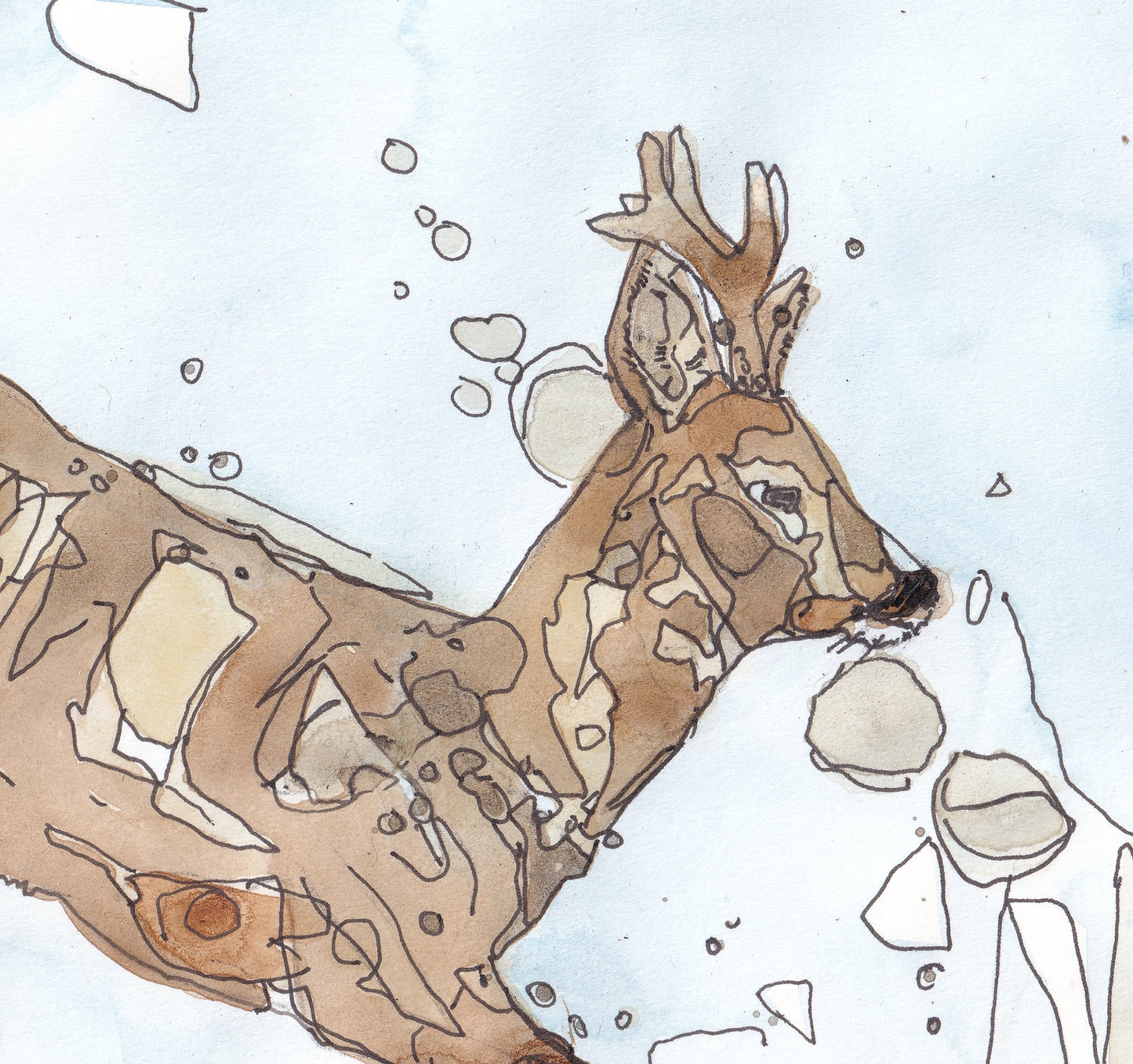 Detail from Wildlife Art jumping Roe Deer Buck painting / illustration by wildlife artist Ann Pease.
