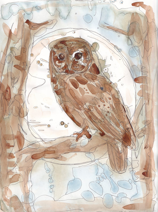 Wildlife Art tawny owl perched in a tree woodland with large full moon contemporary painting / illustration by wildlife artist Ann Pease.