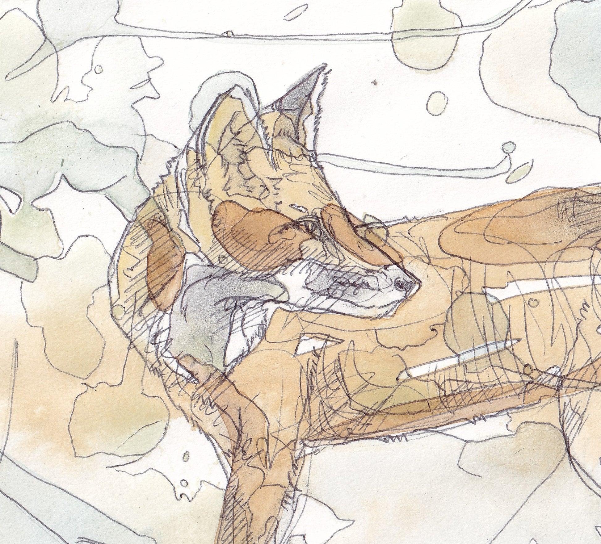 detail close up Wildlife Art red fox in woodland tree with full moon contemporary painting / illustration by wildlife artist Ann Pease.