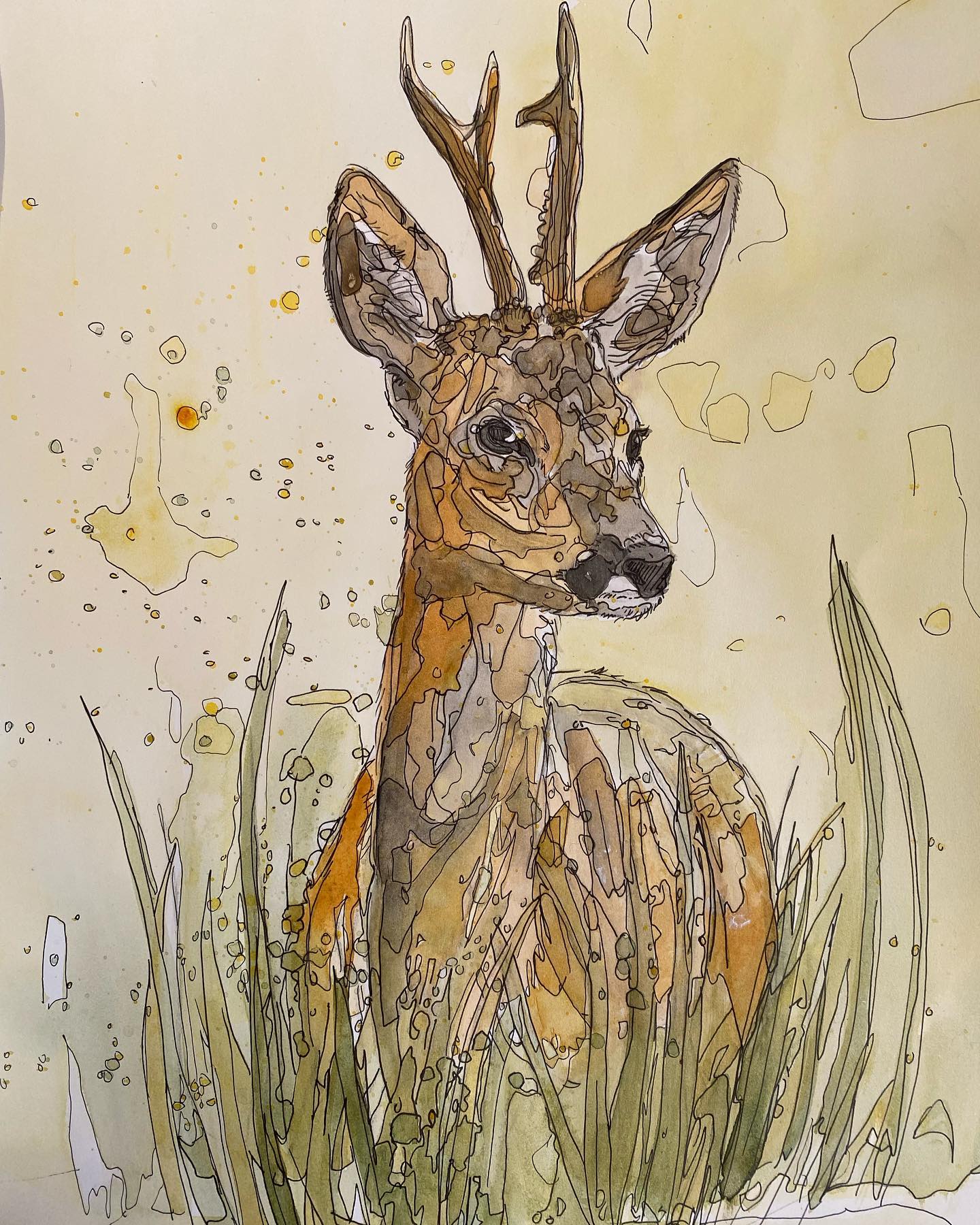 Wildlife Art roe buck deer stag painting / illustration in yellow tones by wildlife artist Ann Pease.