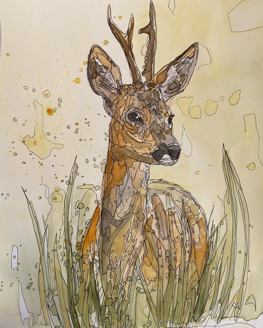 Wildlife Art roe buck deer stag painting / illustration in yellow tones by wildlife artist Ann Pease.