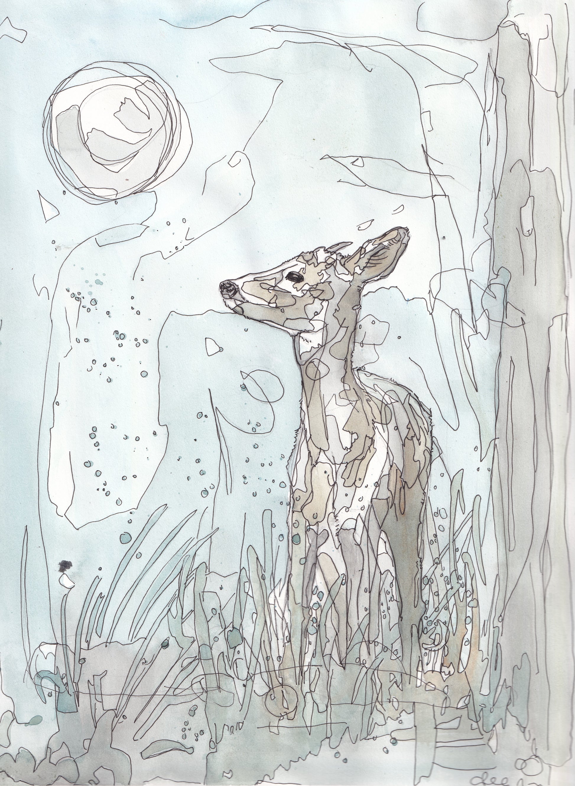 Wildlife Art standing Roe Deer under the moon in blue tones painting / illustration by wildlife artist Ann Pease.
