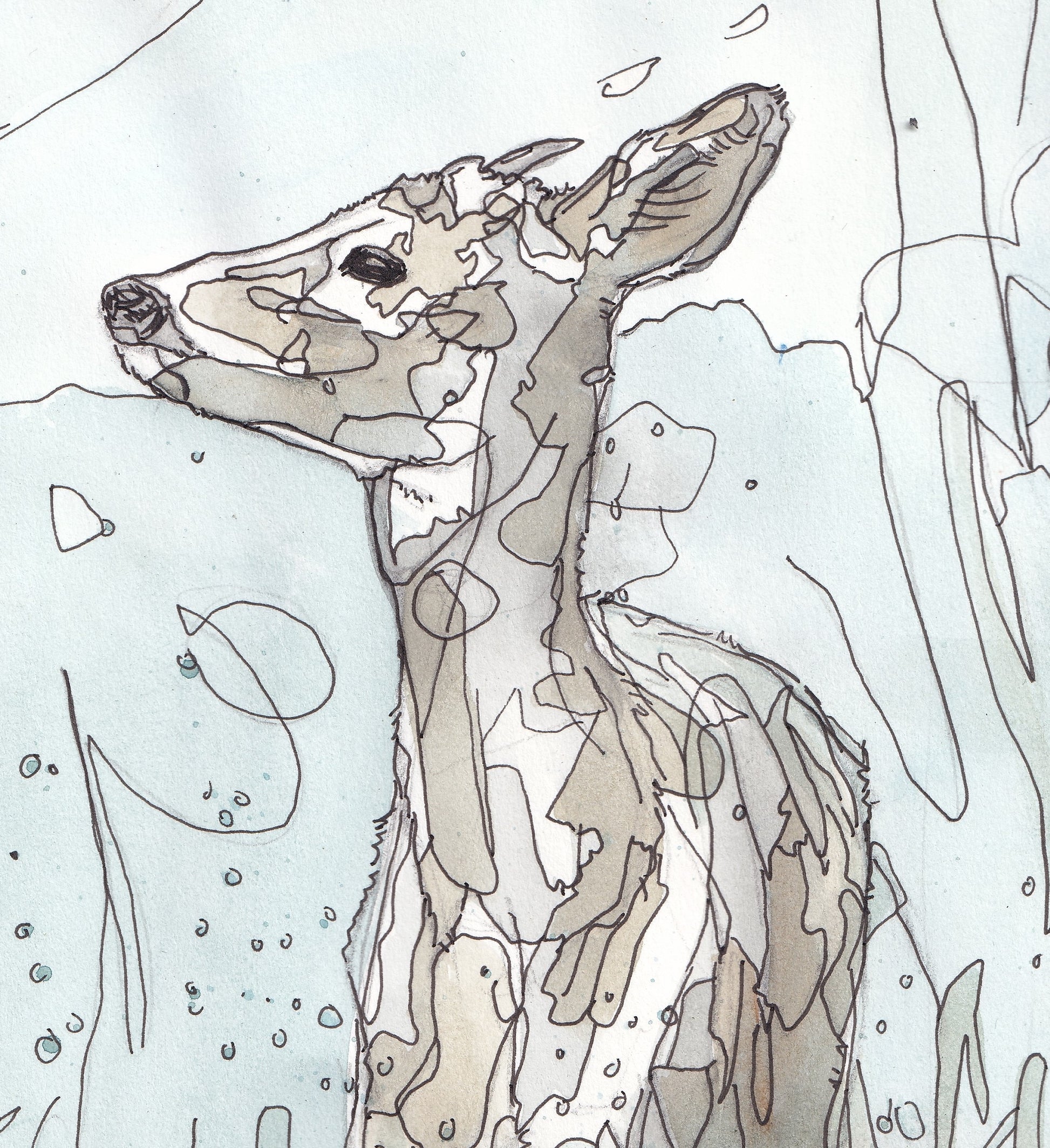 Detail from Wildlife Art Roe Deer in blue tones painting / illustration by wildlife artist Ann Pease.