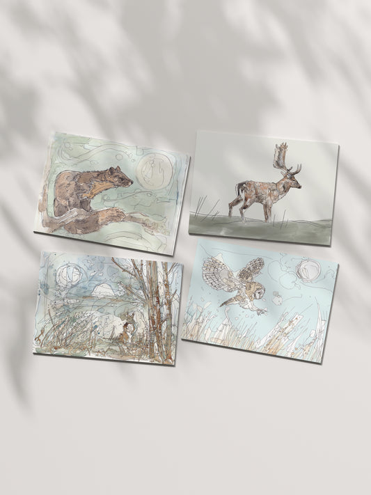 Blank greeting card pack of four ine marten deer stag fallow buck barn owl woodland with full moon illustration animal artist ann pease card art 