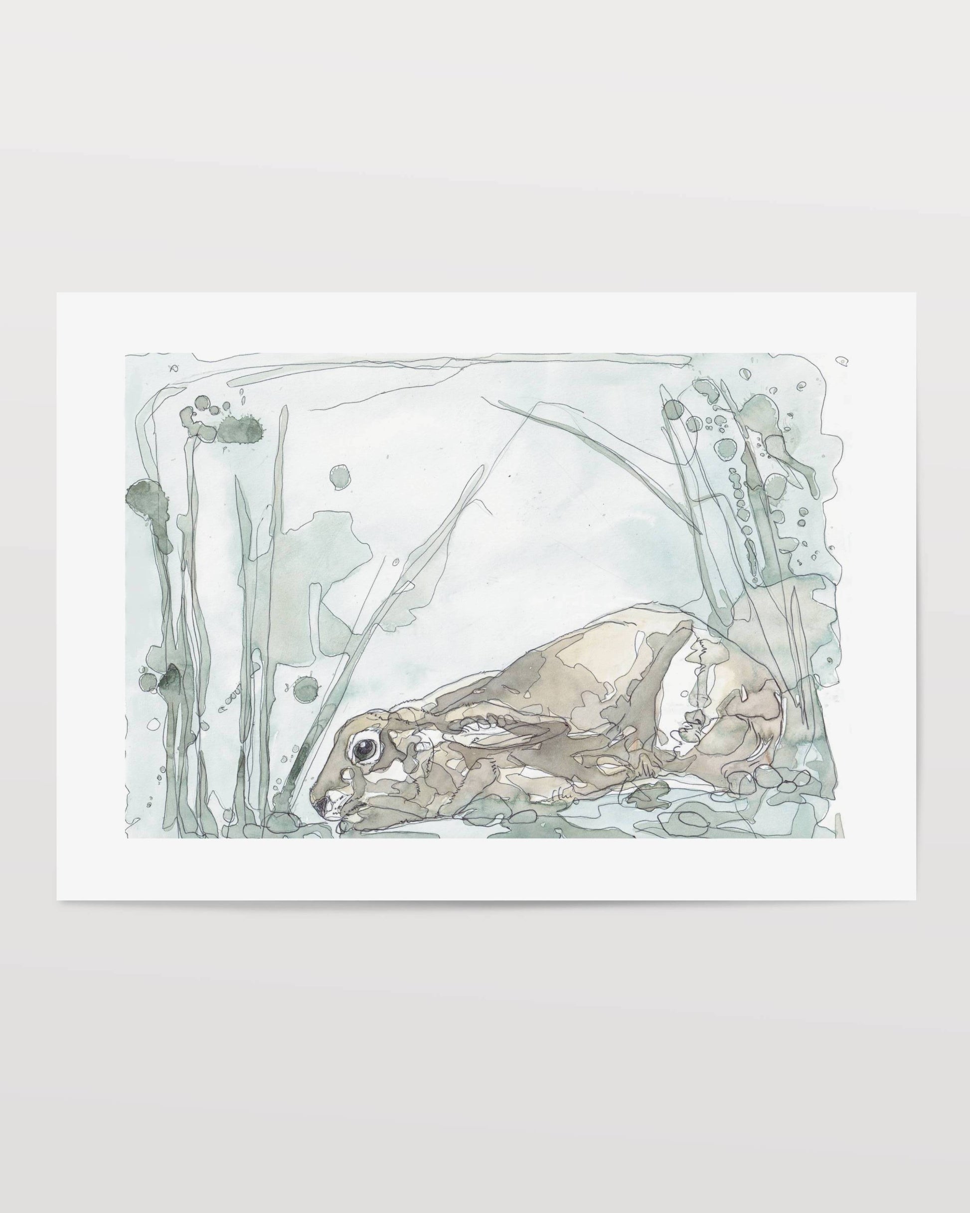 Wildlife Art crouching brown hare giclee art print from painting / illustration by wildlife artist Ann Pease.