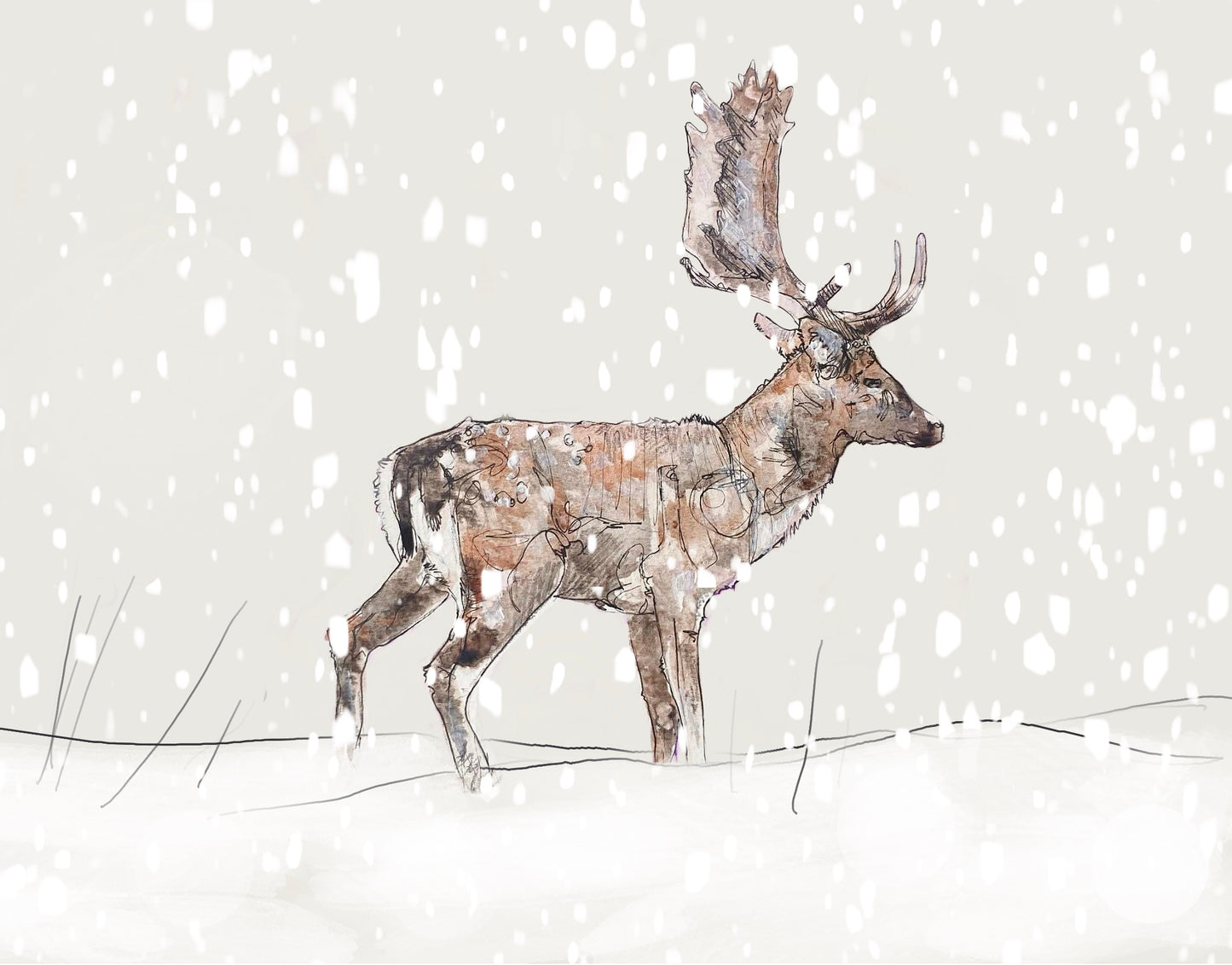 Wildlife Art fallow buck stag deer in the snow christmas festive winter painting / illustration by wildlife artist Ann Pease.