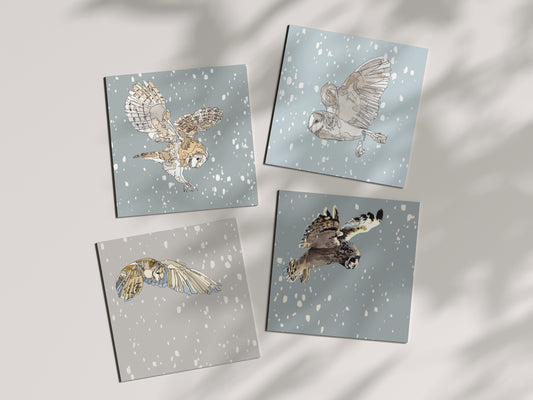 four pack of blank square greeting cardsbarn owl short eared owl flying in the snow contemporary illustration animal artist ann pease card art 